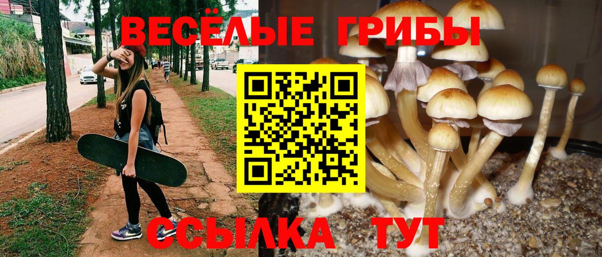 Семилуки  Галлюциногенные грибы прущие грибы  Вход с VPN 