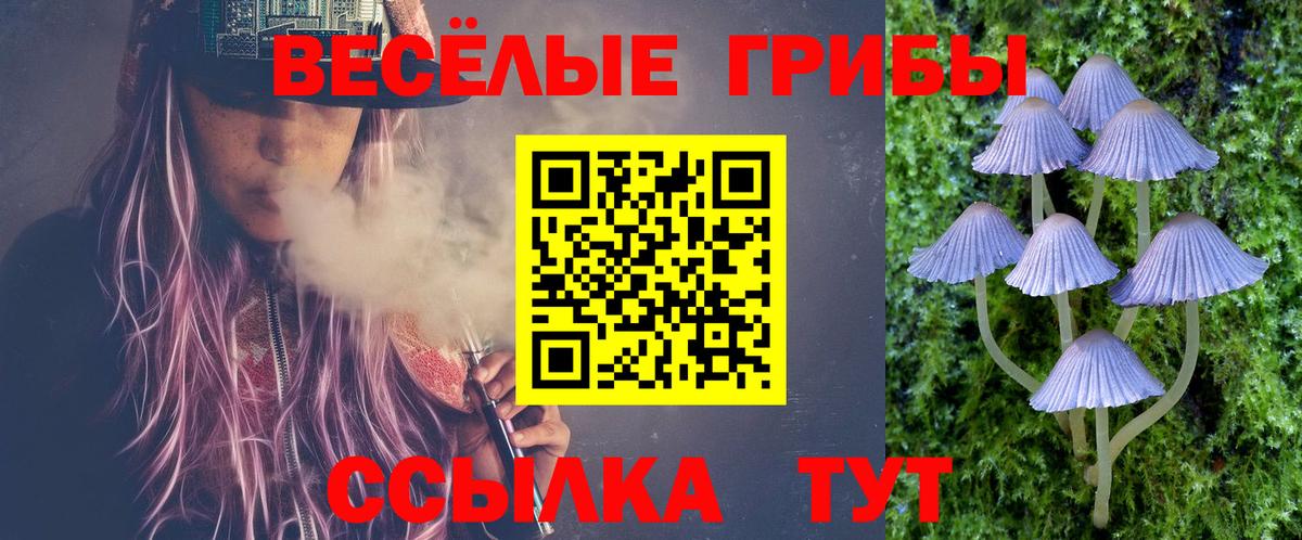Псилоцибиновые грибы Psilocybine cubensis Семилуки